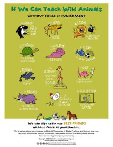If we can teach wild animals